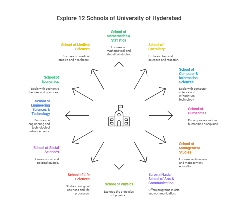 Visual Representation of 12 schools of the University of Hyderabad under which students can take admission.  